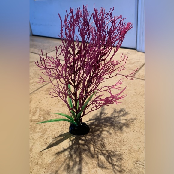 Top Fin Coral Aquarium Plant - Picture 3 of 8